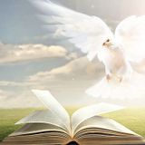 Pr. Marcelo Valente - Precioso (Palavra IURD Domingo 17-08-2014)