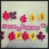 URBaN FoREST #miXtape 021 - septemBer