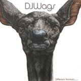 DJWags - Different Animals