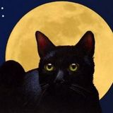 Moonshine #1