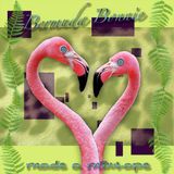 Guest Mix #1: Bermuda Bonnie
