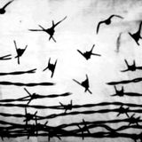 MESS BASSTARDE - Iconoclast Theory - Mix Vinyles Dubstep Radio Transparence 03/11/2010