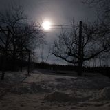 lasa-ma sa vin cu dumneata ...poem al zilei