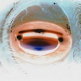 Cloudy Vision (Part Five)