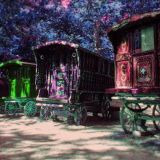Gypsy Session 05 - Edmund Auger