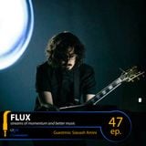 FLUX 47 // Guestmix: Siavash Amini