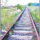 Ein weiter Weg - 03_2012