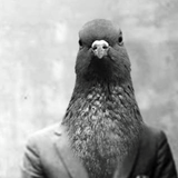 2015-10-09 - Aviary Hotel
