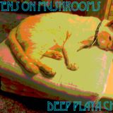 Deep Playa Chill