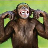 Extrait de " KonG break Tha beaT " /2006