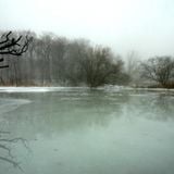Music for Dogs and Icy Ponds