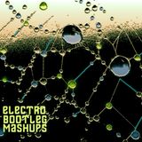 Skinny Hendrix - Electro Bootleg Mix