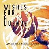 Wishes for a Duende