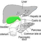 Ayurvedic Management of Digestive System Problem Part 2