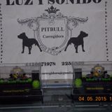 80´s, 90´s... en español Pitbulldj