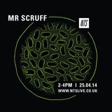 Mr Scruff - 25th April 2014
