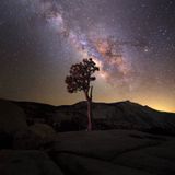 April 2015 By Brooksey | 25/04/2015