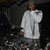 DJ MEGA - LIVE AT CENTER ST ALLEY 2-22-2014