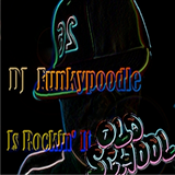 Dj Funkypoodle Is Rockin' it Old School