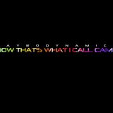 Now That's What I Call Camp - Part Two