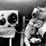 know1-Moar DNB-(03-16-2016)