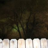 spring 2013