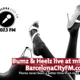 Barcelona City FM featuring Anarosa! We talk, Cat Massage, Panama Papers, Dog poisonings