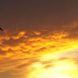 Downwind