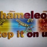 Step it on up (Slaker Funk'a Remix) Producing, Recording, Editing & Re-Mixing by M. Luciano