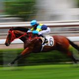 Knuspermix 08/2015 #2 - At The Races