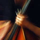 Contrabass