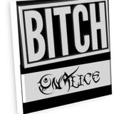The Bitch Chronicles Chapter 1
