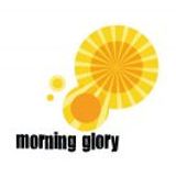 Morning Glory 24th September