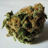 Unity Sound - The Green Mix 2012