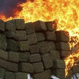 Ganja Tuning