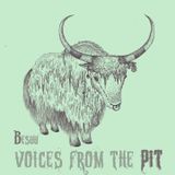Besuu - Voices from the Pit | Vol. 1 // Jan 2013