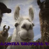 LA LLAMITA TROPICAL Vol. 2