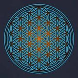 unlimited tree Goa trance