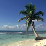 'On The Beach' ~ Liquid Drum & Bass Mix.