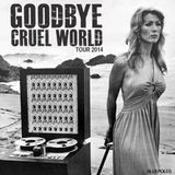 Goodbye Cruel World Tour 2014 (Live)