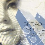 Seraphim's Soul Purpose Mix vol.2