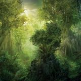 Alanita - The Whispering Of The Ents