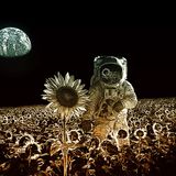 Franbeats - Love Lost (Dark Soul Project & Santiago Garcia Remix)