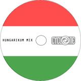 HUNGARIKUM MIX DEMO (137BPM)