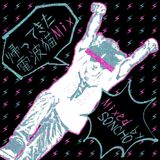 帰ってきた電波猫Mix