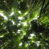 All Breakage jungle mix