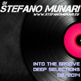 INTO THE GROOVE - DEEP SELECTION FEBRUARY 2014 - DJ STEFANO MUNARI