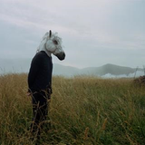 Iva alternativa - SPARKLEHORSE
