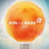 Loxy - Exit Recordings 10 Year Anniversary @ SunandBass 2013 | Bassdrive.com