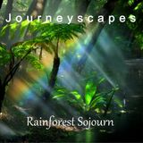 PGM 013: Rainforest Sojourn